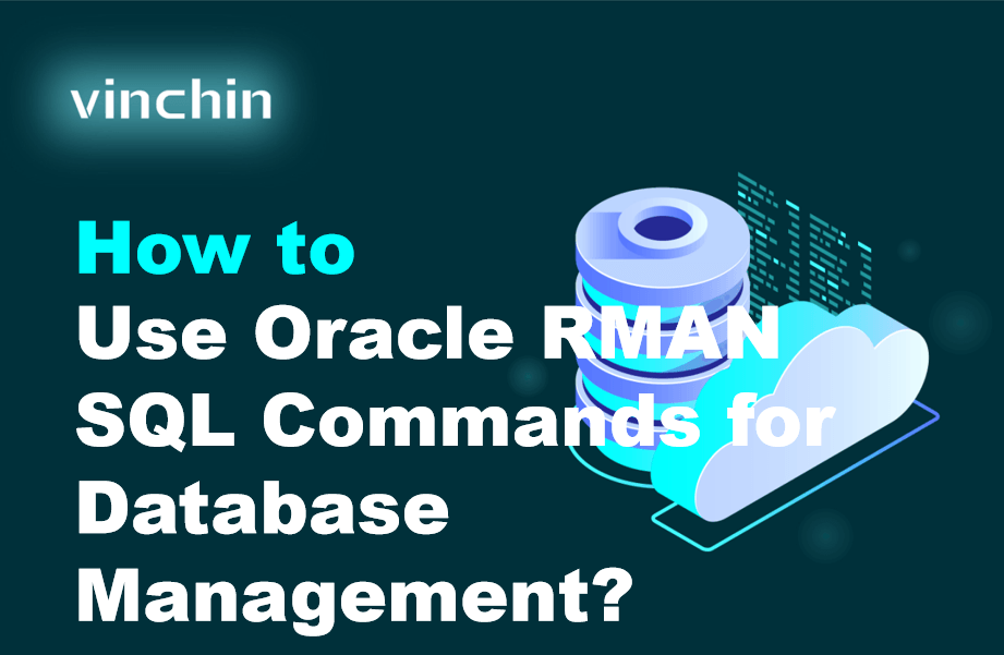How to Use Oracle RMAN SQL Commands for Database Management? | Vinchin ...
