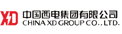 China XD Group Co., Ltd.