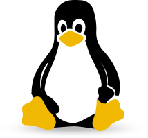 Copia de seguridad de Linux