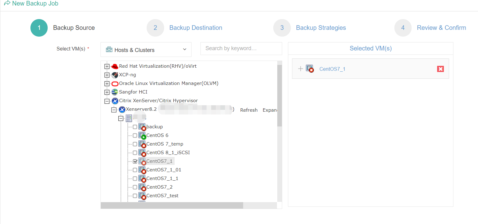 Backup XenServer